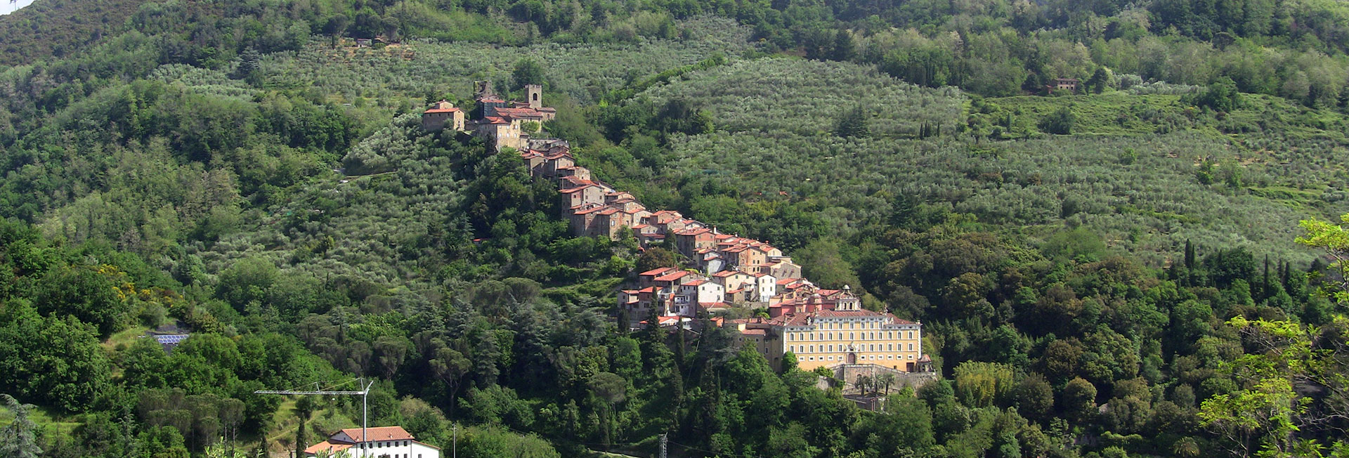 Collodi panoramica